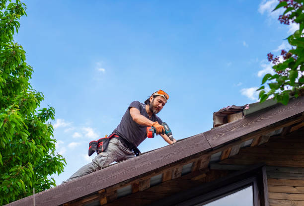 Best Roof Moss and Algae Removal  in Westernport, MD